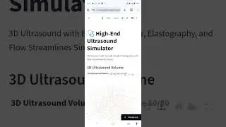 High-End-Ultrasound-Simulator