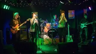 The Steam Radios - Not 4 Sale (live)