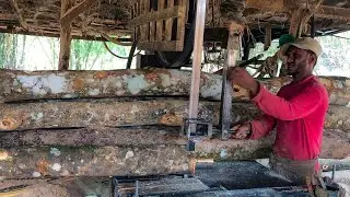 FAST WORKERS AMAZING WOOD CUTTING PROCESS AT BUSY TIMBER MILL