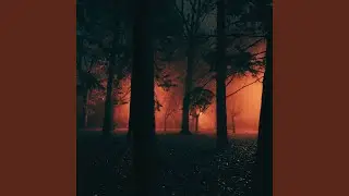 Deep Within