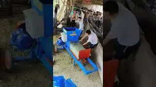 silage baler machine