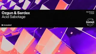 Ozgun & Serdex  - Acid Sabotage