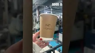 Inside a Chinese Paper Cup Factory: The Complete Manufacturing Process