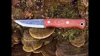Condor  tool and knife Trivittata puukko review #bushcraft #review #best #new#top #outdoors #camping
