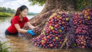 Harvesting Many Big Grape Clusters & Selling at the Rural Market | Simple Rural Girl Life