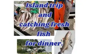 Toure and Fishing | fresh fish for dinner | fishing in cold weather...