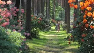 Climate Change- What do you expect to happen in the future? Project Gymnasium Salzgitter Bad