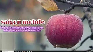 how to use the crack software safely - c&aacute;ch s&agrave;i phần mềm crack an to&agrave;N 100%| Saigon Mobile