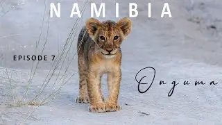 NAMIBIA 2024 | EXPECT THE UNEXPECTED | EPISODE 7 | ONGUMA NATURE RESERVE