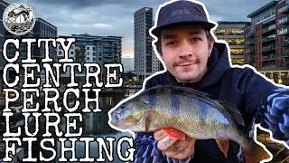 !!!BIG PERCH!!! URBAN PERCH LURE FISHING WITH CRANKBAITS AND CREATURES