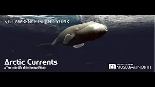 Arctic Currents: A Year in the Life of the Bowhead Whale (SLI Yupik)