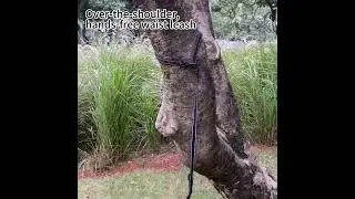 Ultimate Dog Walking Gear: Smart Pro Harness & 6-in-1 Leash Adventure! 🐕