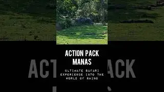 22/30 Elephant fight at Manas National park