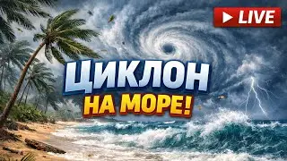 #шторм 🌊 на #море, а мы гуляем с пёселем 🐾 и #общаемся с вами! Приходите будет #интересно! 🌴