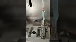 Vertical Back Seal Granule Packaging Machine 5-500g Sachet Melon Seeds Packaging Machine #machine