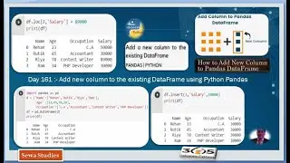 Day 161  Add new column to the existing DataFrame using Python Pandas