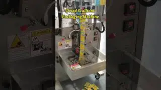 Dried Scallions Packaging Machine Granule Automatic Packing Machine #automaticpackingmachine