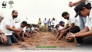 Rung Do Pakistan: Our Journey of Green Patriotism - Indigo Textile