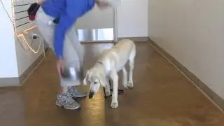 Derbee leave in dish slightly more difficult.MOV