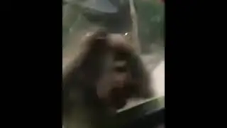 shitpost status