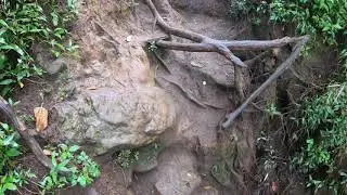 АБАНГ