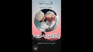 رحل أبي.. كيف أبرُّ به وهو تحت التراب؟ (درر الشنقيطي).