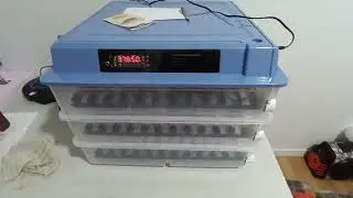 Kineski inkubator 300 jaja automatski / Chinese incubator 300 eggs automatic 