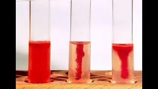 Microbiology of Motility