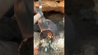 History treasure //treasure hunter finding treasure #chasse_au_tr&eacute;sor #adventure