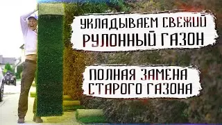 Очень интересный рельеф на участке / Замена старого рулонного газона на новый рулонный газон
