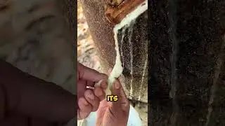 Из чего сделаны шины🤯