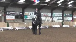 Jodocus FT, Dressage L2, 14.11.2013