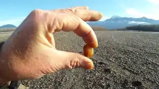 Fraser River agate hunt 12/10