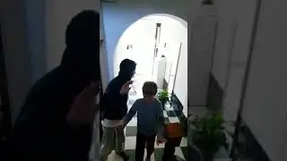 Шарпланинец щенок/Македонская овчарка/Sarplaninac puppy first time home