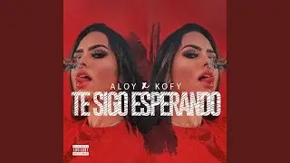 Te Sigo Esperando