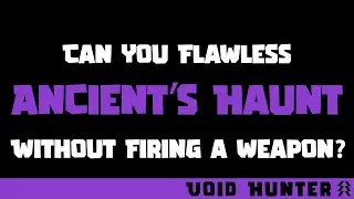 Void Hunter Flawless Ancient's Haunt - No Weapon