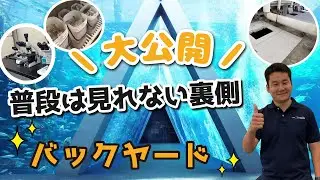 【すばる君企画】もっと！バックヤードツアー！！普段は見れない水族館の裏側を紹介！