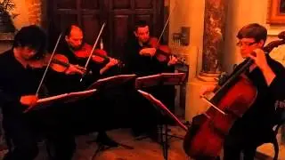 Firework by Katy Perry performed by Xavior Quartet