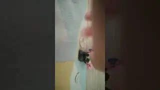 Часть 1 сезон 3 Ано с чем-то связано