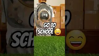 Go to School #memes #funny #rabbitshorts #shortsvideo #humor #youtoubeshorts #animalshorts