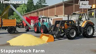 Making CCM, Feeding Animals, Canola Harvesting│Stappenbach│FS 19│Timelapse #12