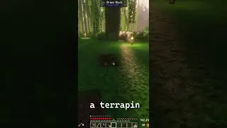 Turtle!!! #minecraft #foryou #video #gaming