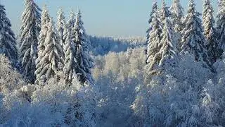 Парс Фортуны в домах (8 -12)