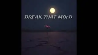 Break That Mold