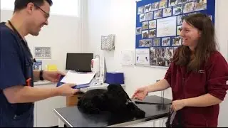 How to use the WALTHAM&trade; Puppy Growth Charts
