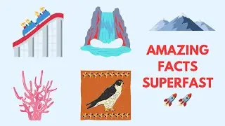 Amazing Wonderful Facts |River|roller coaster|mountain|superfast|great barrier reef|peregrine|falls