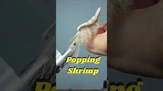 Popping Shrimp  #flytying