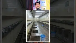 Makka Sharif ka vaju khana 😍