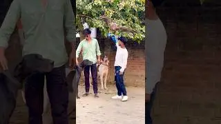 18 Ke Jawani Baate - New Bhojpuri Hot Song 2025 | Superhit Dance Track&rdquo;