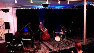 Anagram Series: Lara Driscoll Trio - July 11, 2022